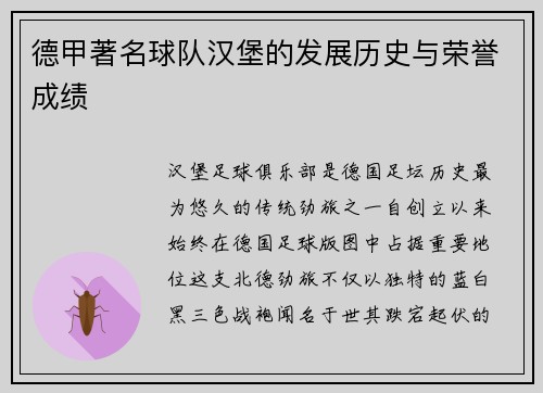 德甲著名球队汉堡的发展历史与荣誉成绩